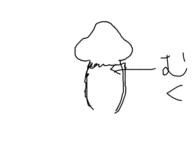 ブラウザ上で遊べる オンライン 絵しりとり