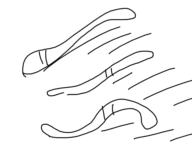 ブラウザ上で遊べる オンライン 絵しりとり