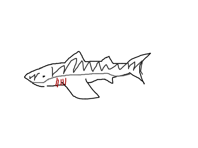 最も選択された サメ イラスト 簡単 Png画像