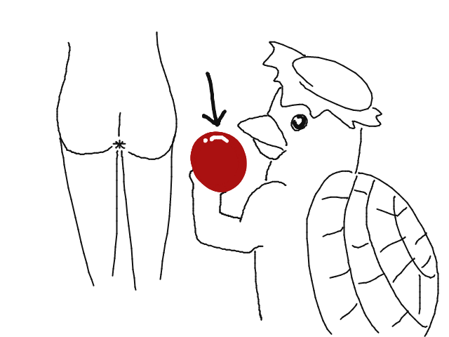 ブラウザ上で遊べる オンライン 絵しりとり