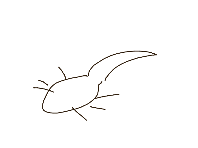 ブラウザ上で遊べる オンライン 絵しりとり